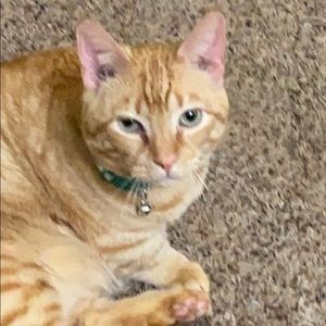 Meet your Posher, Alondra